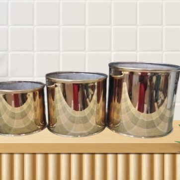 381015803_1763467250759519_3950821050203532868_n-Photoroom (1)