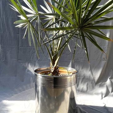 382588019_1763467124092865_4040762492266067589_n