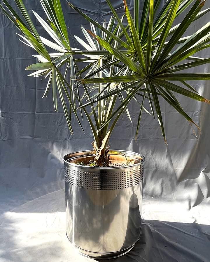 382588019_1763467124092865_4040762492266067589_n 382588019_1763467124092865_4040762492266067589_n