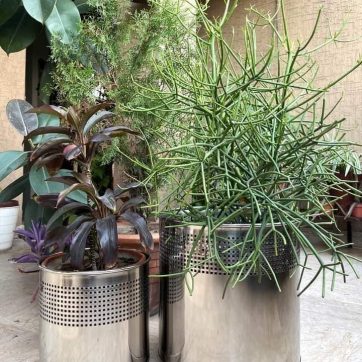 394021425_1774746602964917_8614935598247239436_n