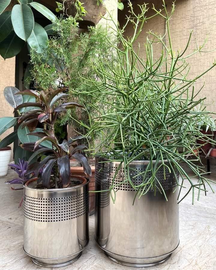 394021425_1774746602964917_8614935598247239436_n 394021425_1774746602964917_8614935598247239436_n