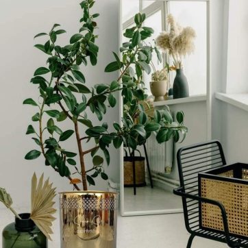 394033495_1774746462964931_5144309499403402034_n