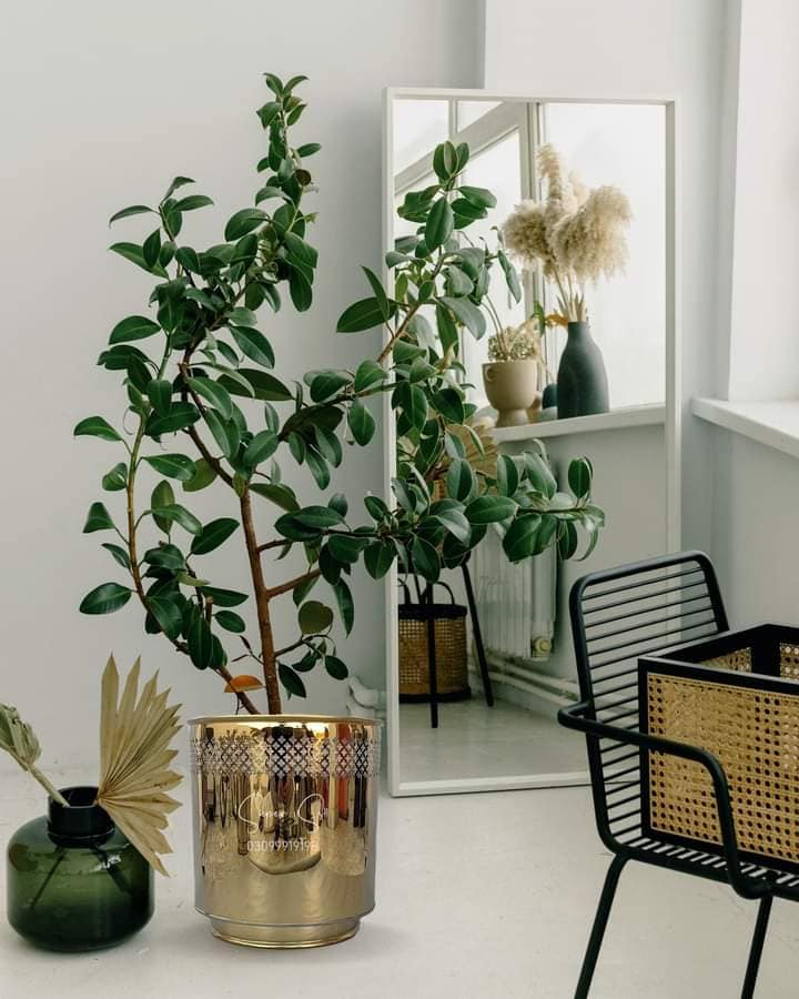 394033495_1774746462964931_5144309499403402034_n 394033495_1774746462964931_5144309499403402034_n