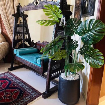 Monstraloia plant 5.5 ft