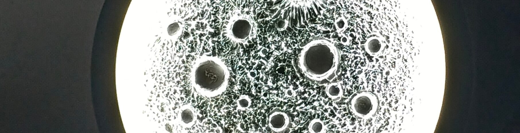 IMG_20251223_154946_554