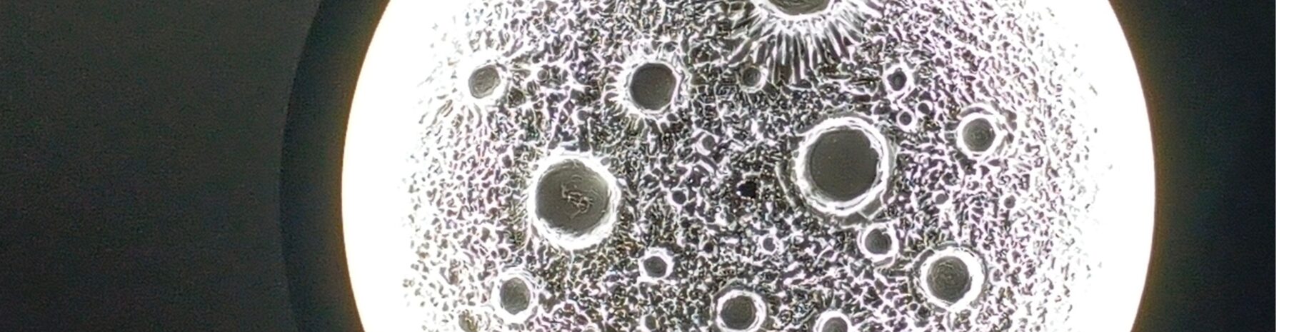 IMG_20251223_155322_811