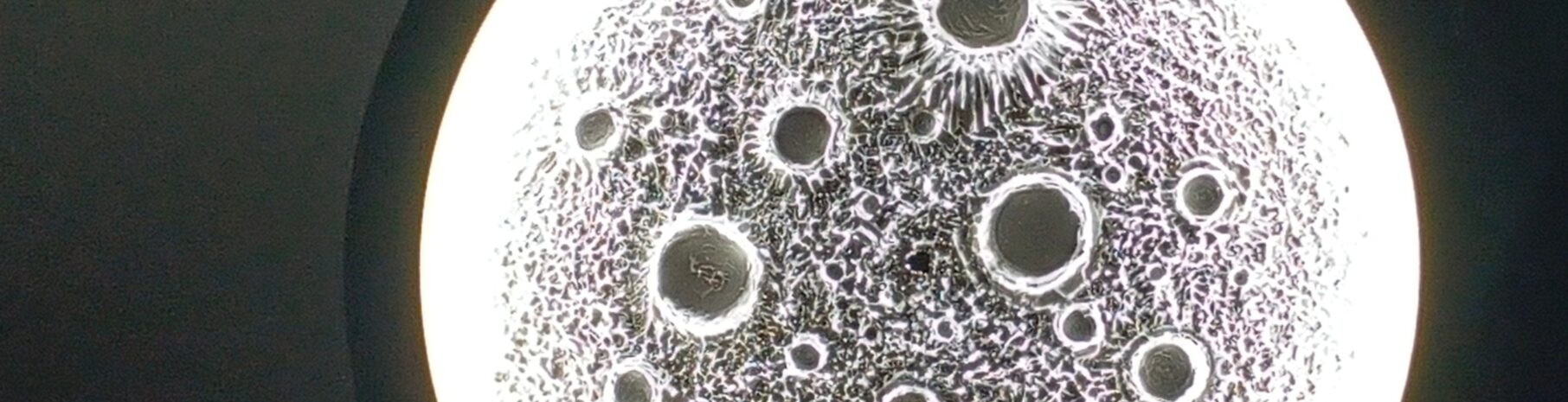 IMG_20251223_155404_567