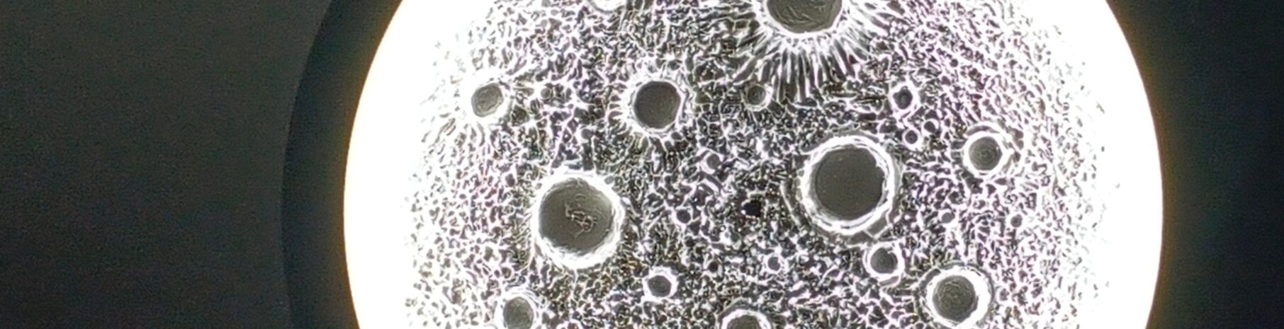 IMG_20251223_155414_987